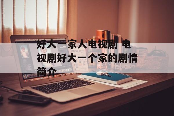 好大一家人电视剧 电视剧好大一个家的剧情简介-第1张图片-