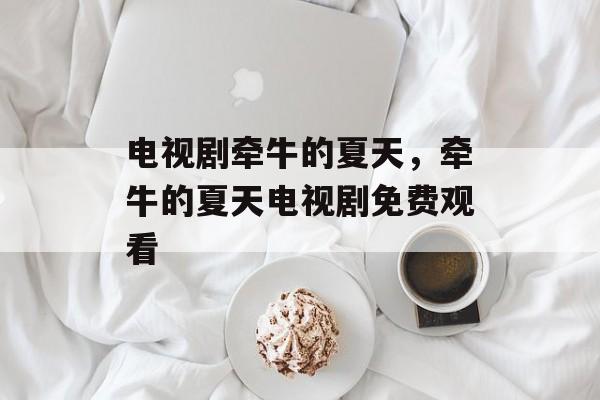 电视剧牵牛的夏天，牵牛的夏天电视剧免费观看-第1张图片-