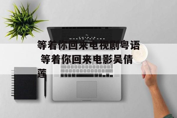等着你回来电视剧粤语 等着你回来电影吴倩莲-第1张图片-