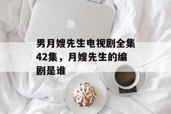 男月嫂先生电视剧全集42集，月嫂先生的编剧是谁-第1张图片-