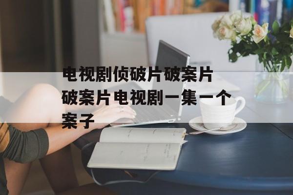 电视剧侦破片破案片 破案片电视剧一集一个案子-第1张图片-