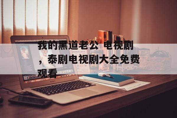 我的黑道老公 电视剧，泰剧电视剧大全免费观看-第1张图片-
