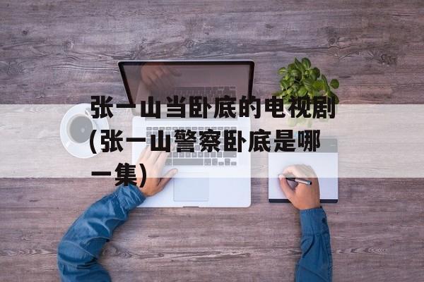 张一山当卧底的电视剧(张一山警察卧底是哪一集)-第1张图片-