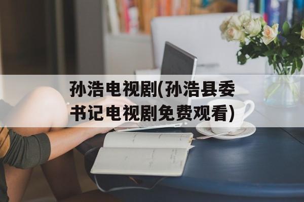 孙浩电视剧(孙浩县委书记电视剧免费观看)-第1张图片-