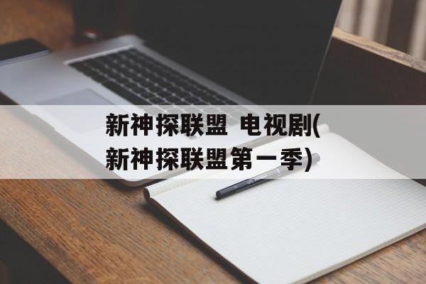 新神探联盟 电视剧(新神探联盟第一季)-第1张图片-