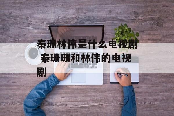 秦珊林伟是什么电视剧 秦珊珊和林伟的电视剧-第1张图片-