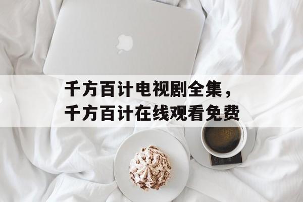 千方百计电视剧全集，千方百计在线观看免费-第1张图片-