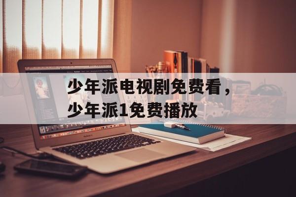 少年派电视剧免费看，少年派1免费播放-第1张图片-