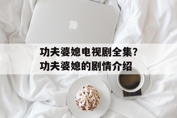 功夫婆媳电视剧全集？功夫婆媳的剧情介绍-第1张图片-