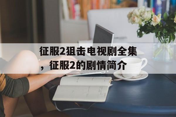 征服2狙击电视剧全集，征服2的剧情简介-第1张图片-