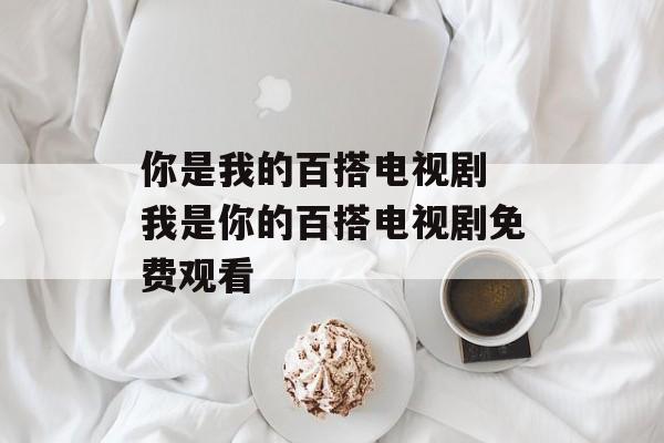 你是我的百搭电视剧 我是你的百搭电视剧免费观看-第1张图片-