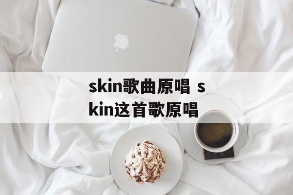 skin歌曲原唱 skin这首歌原唱-第1张图片-