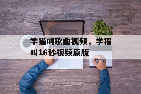 学猫叫歌曲视频，学猫叫16秒视频原版-第1张图片-