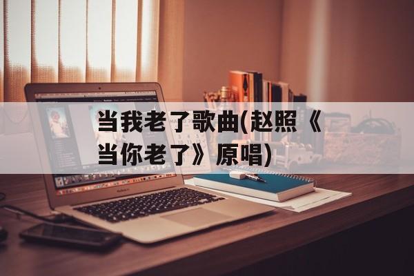 当我老了歌曲(赵照《当你老了》原唱)-第1张图片-