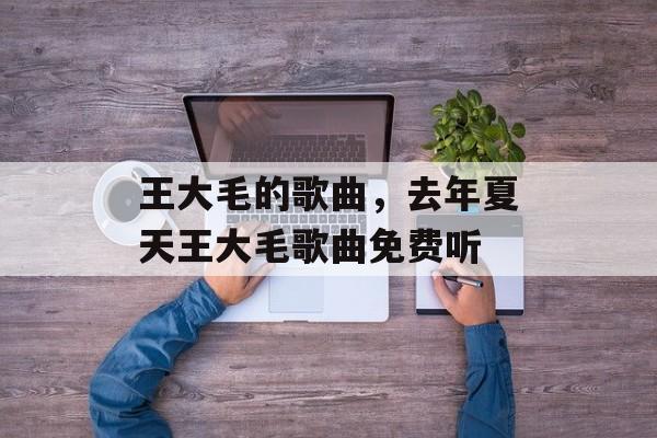 王大毛的歌曲，去年夏天王大毛歌曲免费听-第1张图片-