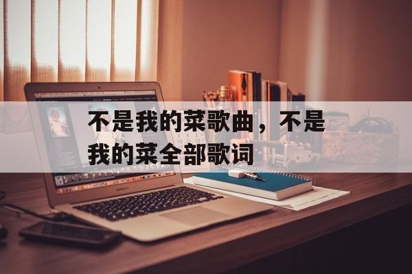 不是我的菜歌曲，不是我的菜全部歌词-第1张图片-