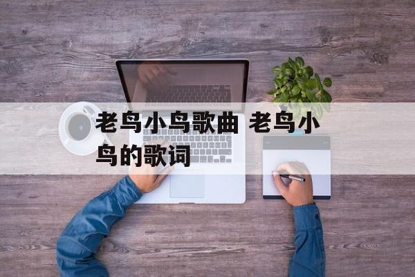 老鸟小鸟歌曲 老鸟小鸟的歌词-第1张图片-