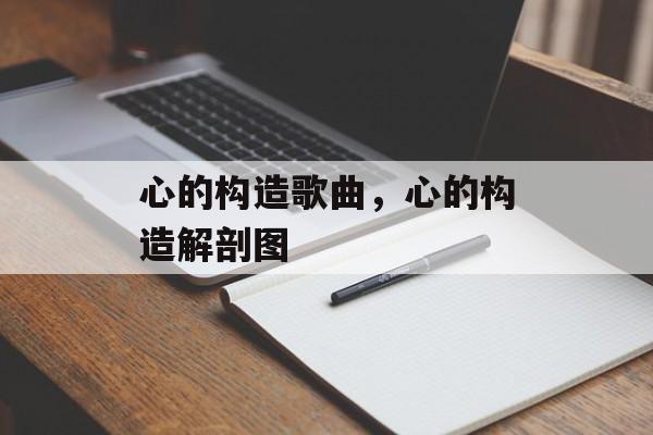 心的构造歌曲，心的构造解剖图-第1张图片-