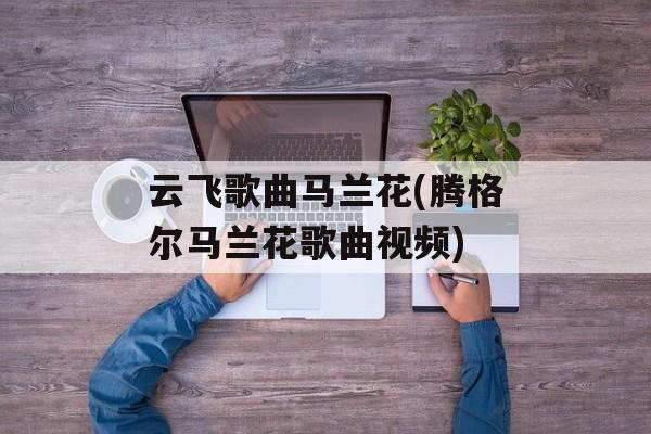 云飞歌曲马兰花(腾格尔马兰花歌曲视频)-第1张图片-