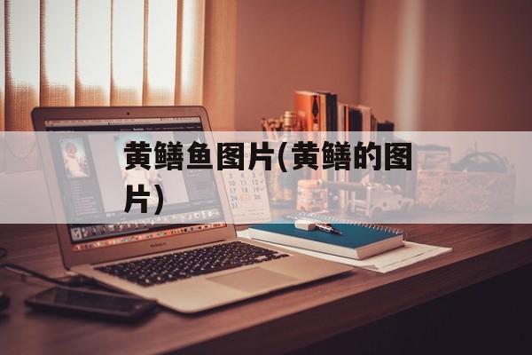 黄鳝鱼图片(黄鳝的图片)-第1张图片-