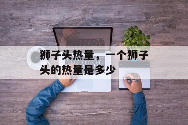 狮子头热量，一个狮子头的热量是多少-第1张图片-