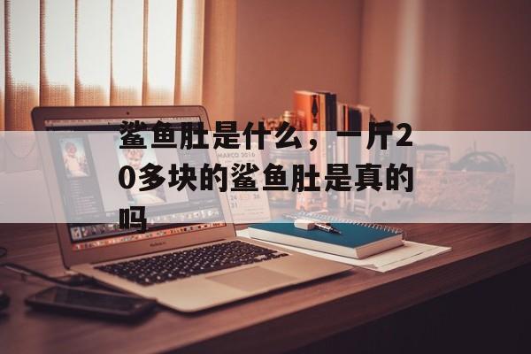 鲨鱼肚是什么，一斤20多块的鲨鱼肚是真的吗-第1张图片-