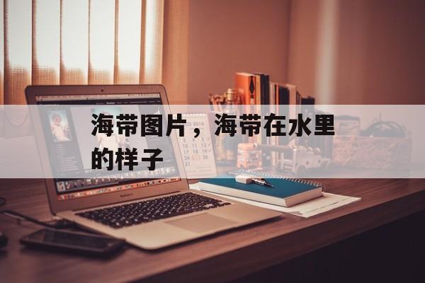 海带图片，海带在水里的样子-第1张图片-