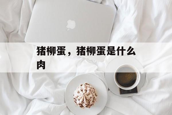 猪柳蛋，猪柳蛋是什么肉-第1张图片-
