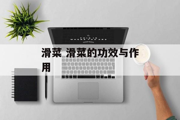 滑菜 滑菜的功效与作用-第1张图片-