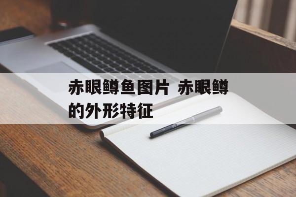 赤眼鳟鱼图片 赤眼鳟的外形特征-第1张图片-