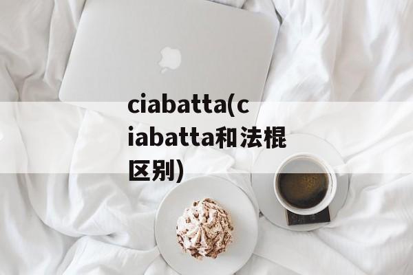 ciabatta(ciabatta和法棍区别)-第1张图片-