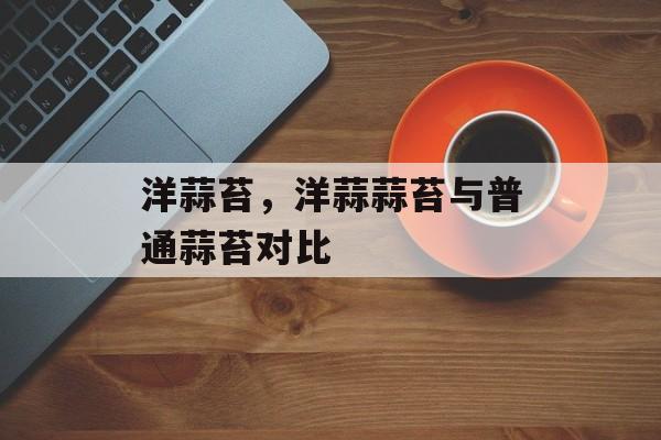 洋蒜苔，洋蒜蒜苔与普通蒜苔对比-第1张图片-
