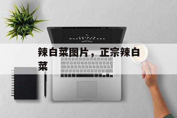 辣白菜图片，正宗辣白菜-第1张图片-
