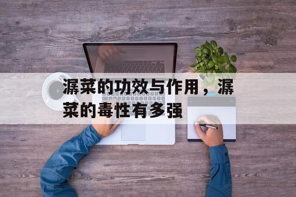 潺菜的功效与作用，潺菜的毒性有多强-第1张图片-
