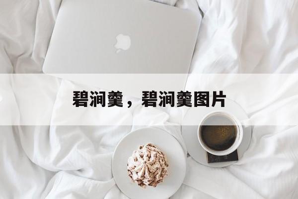 碧涧羹，碧涧羹图片-第1张图片-