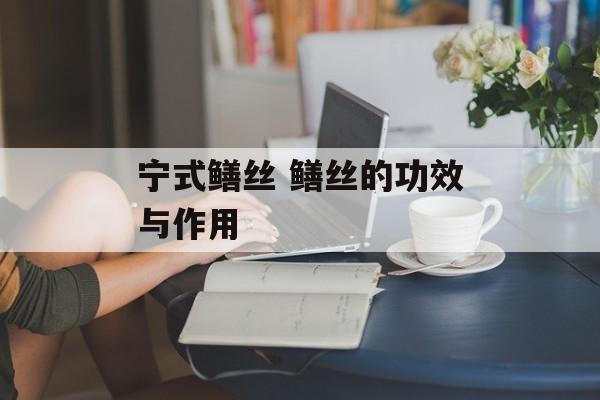 宁式鳝丝 鳝丝的功效与作用-第1张图片-
