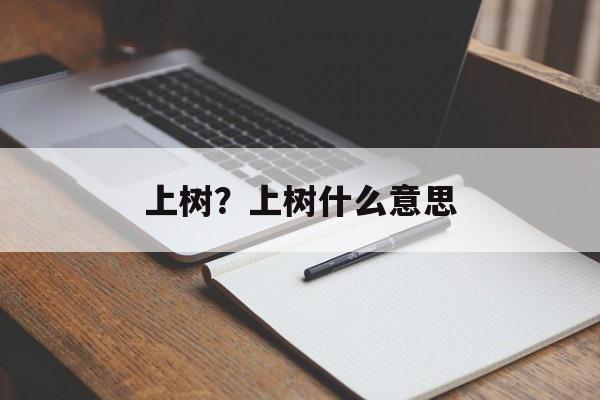 上树？上树什么意思-第1张图片-