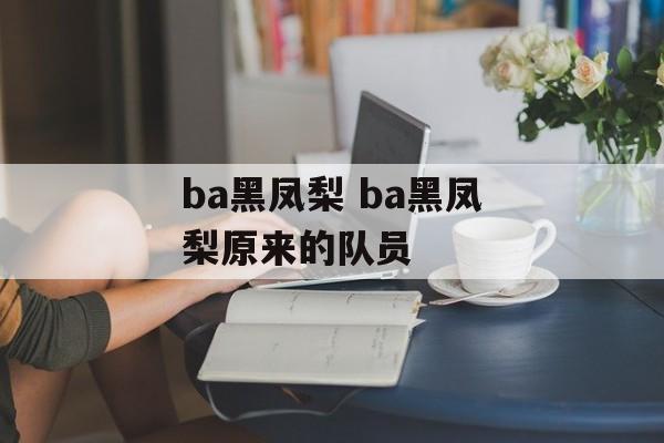 ba黑凤梨 ba黑凤梨原来的队员-第1张图片-