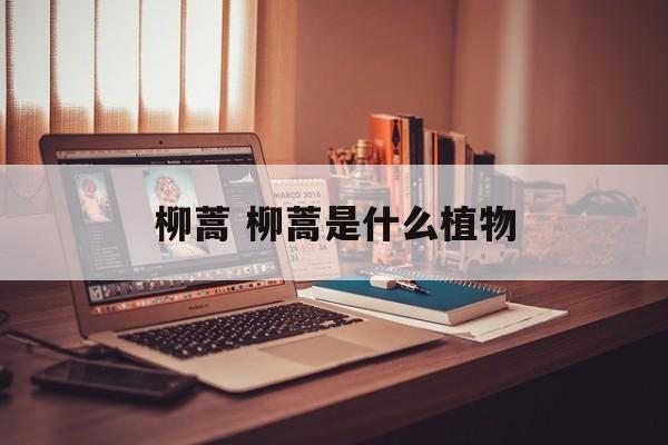 柳蒿 柳蒿是什么植物-第1张图片-
