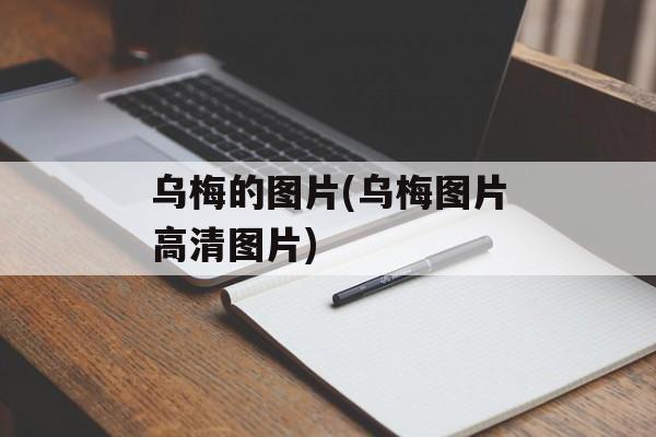 乌梅的图片(乌梅图片高清图片)-第1张图片-