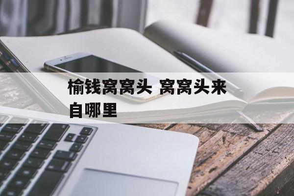 榆钱窝窝头 窝窝头来自哪里-第1张图片-