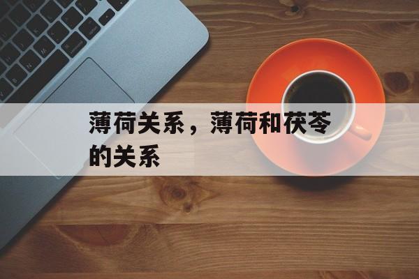 薄荷关系，薄荷和茯苓的关系-第1张图片-