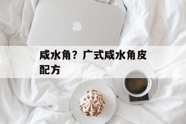 咸水角？广式咸水角皮配方-第1张图片-