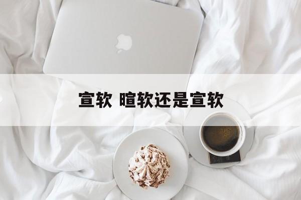宣软 暄软还是宣软-第1张图片-