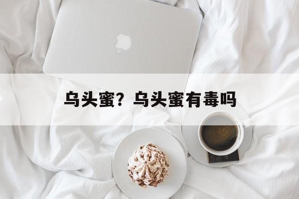 乌头蜜？乌头蜜有毒吗-第1张图片-