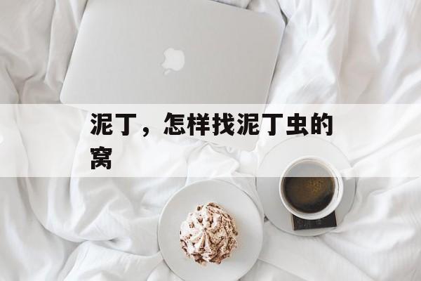 泥丁，怎样找泥丁虫的窝-第1张图片-