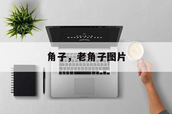 角子，老角子图片-第1张图片-