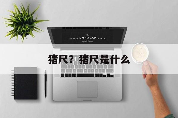 猪尺？猪尺是什么-第1张图片-