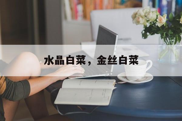 水晶白菜，金丝白菜-第1张图片-