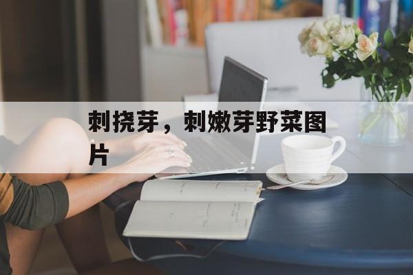 刺挠芽，刺嫩芽野菜图片-第1张图片-